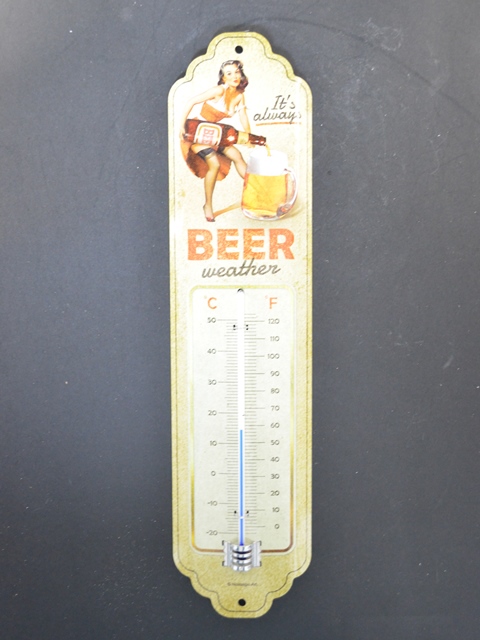 Thermometer Beer Weather