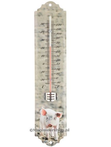 Thermometer Big, fotoafdruk