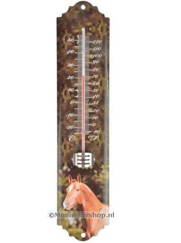 Thermometer Paard, fotoafdruk