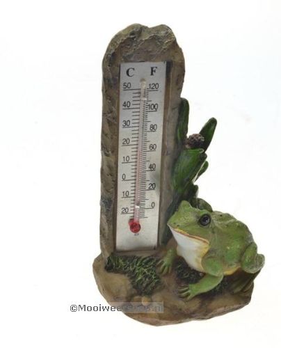 Thermometer kikker