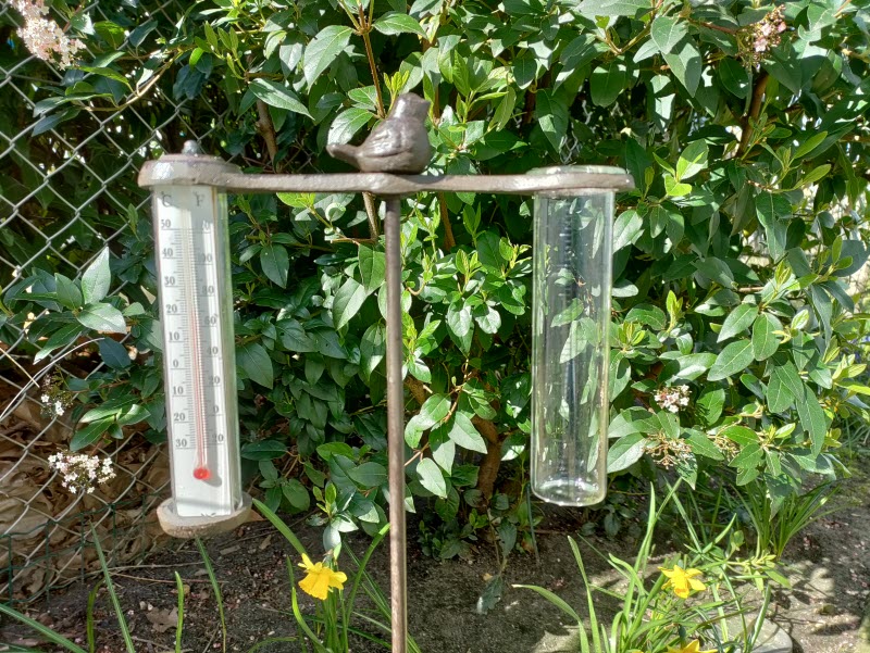 Regenmeter en thermometer Gietijzeren Vogeltje