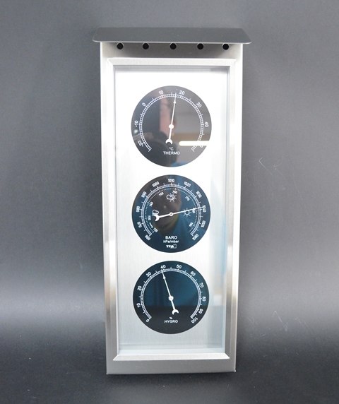 Buitenthermometer Weerstation RVS
