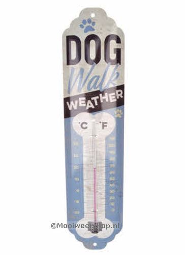 Thermometer Dog Walk Weather