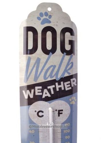 Thermometer Dog Walk Weather