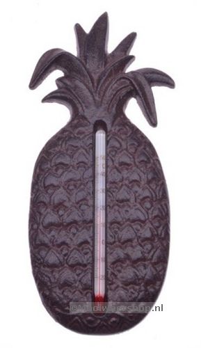 Thermometer ananas gietijzer