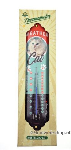 Thermometer Weather Cat