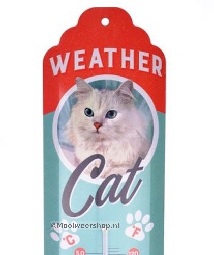 Thermometer Weather Cat