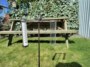 Regenmeter en thermometer Gietijzeren Vogeltje