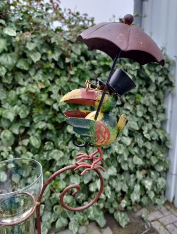 Regenmeter Birdie – Met vrolijk vogeltje en paraplu