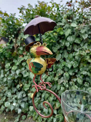 Regenmeter Birdie – Met vrolijk vogeltje en paraplu