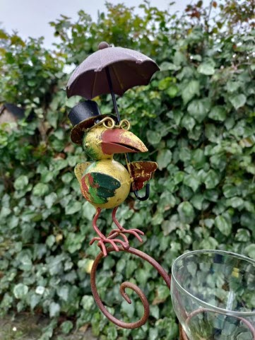 Regenmeter Birdie – Met vrolijk vogeltje en paraplu