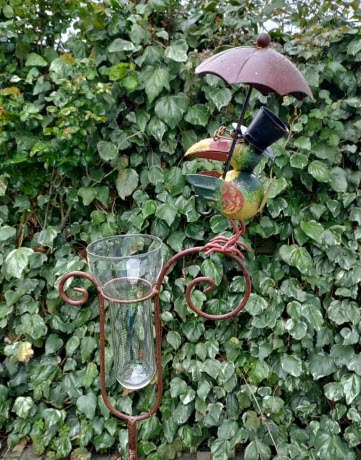 Regenmeter Birdie – Met vrolijk vogeltje en paraplu