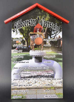 Sibboerster Weerstain - Bok