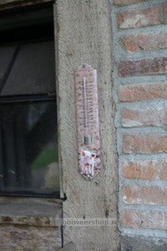 Thermometer Big, fotoafdruk