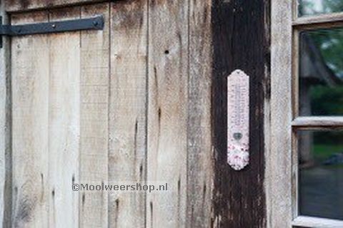 Thermometer Big, fotoafdruk