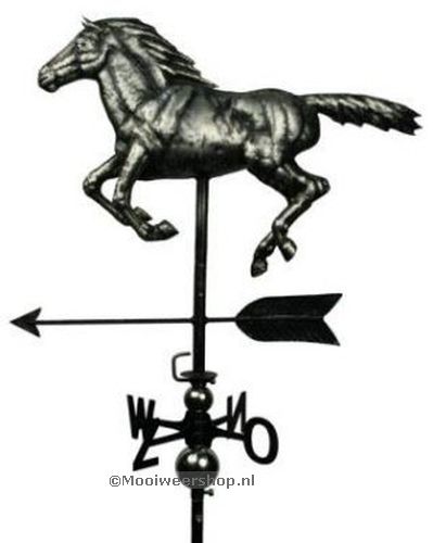 Windwijzer Paard RVS